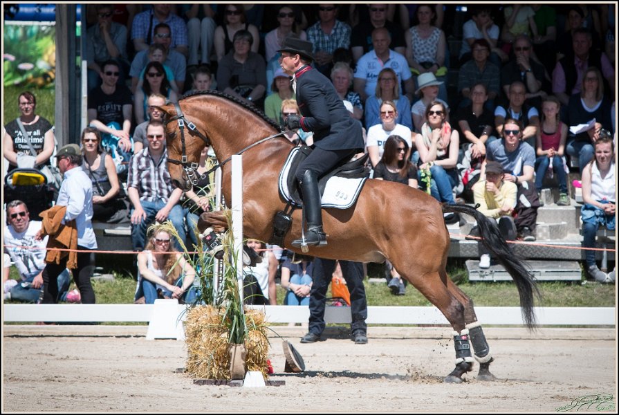 Pferd International 076